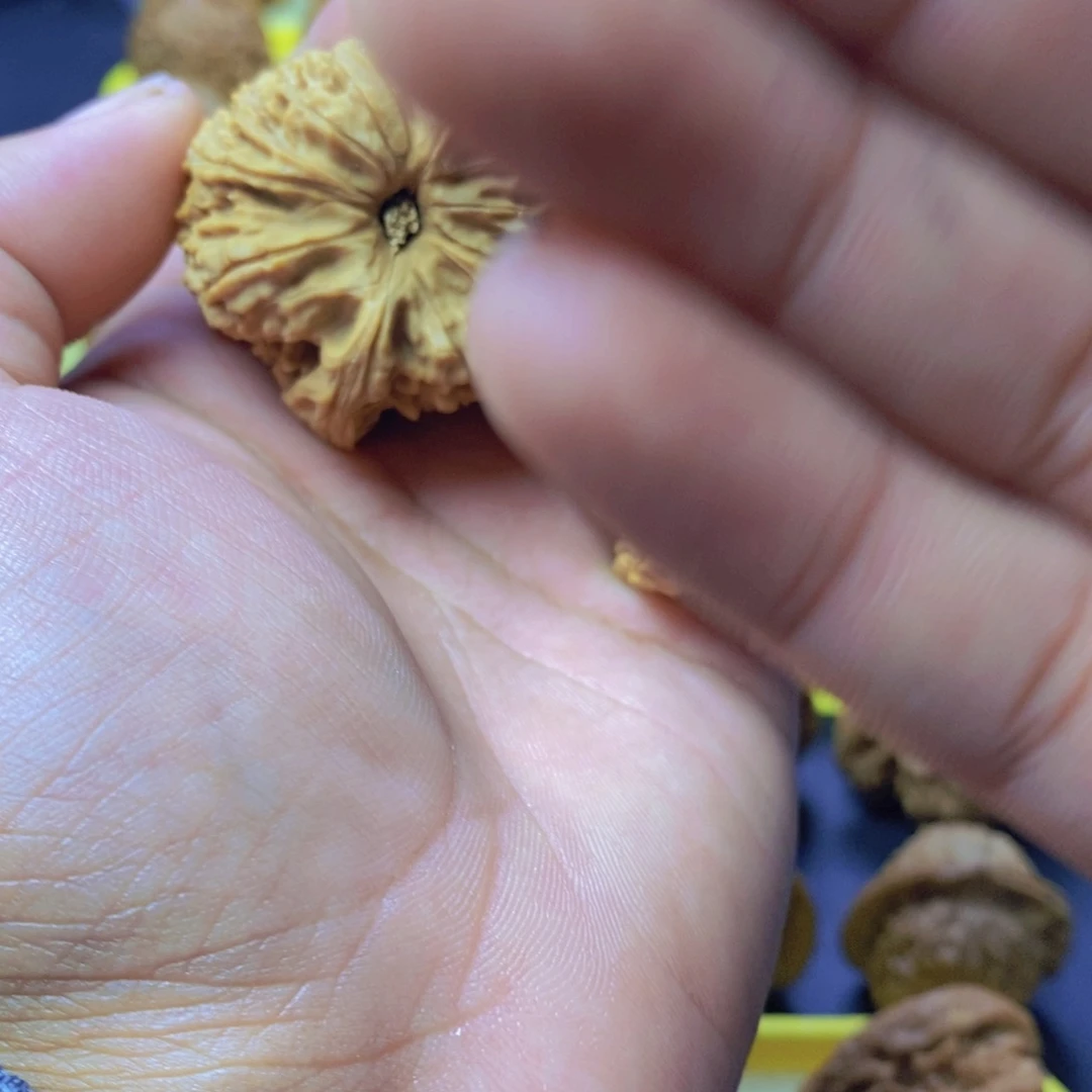 萧***弑核桃文玩核桃南疆石有黄有色差007