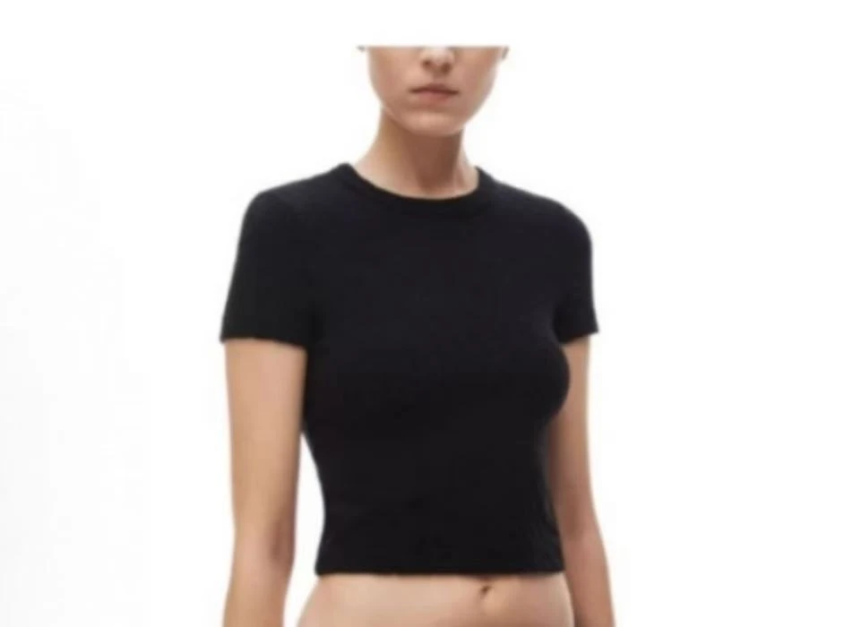 99新 ALEXANDER WANG 娜娜活动 提花字母短袖 黑色