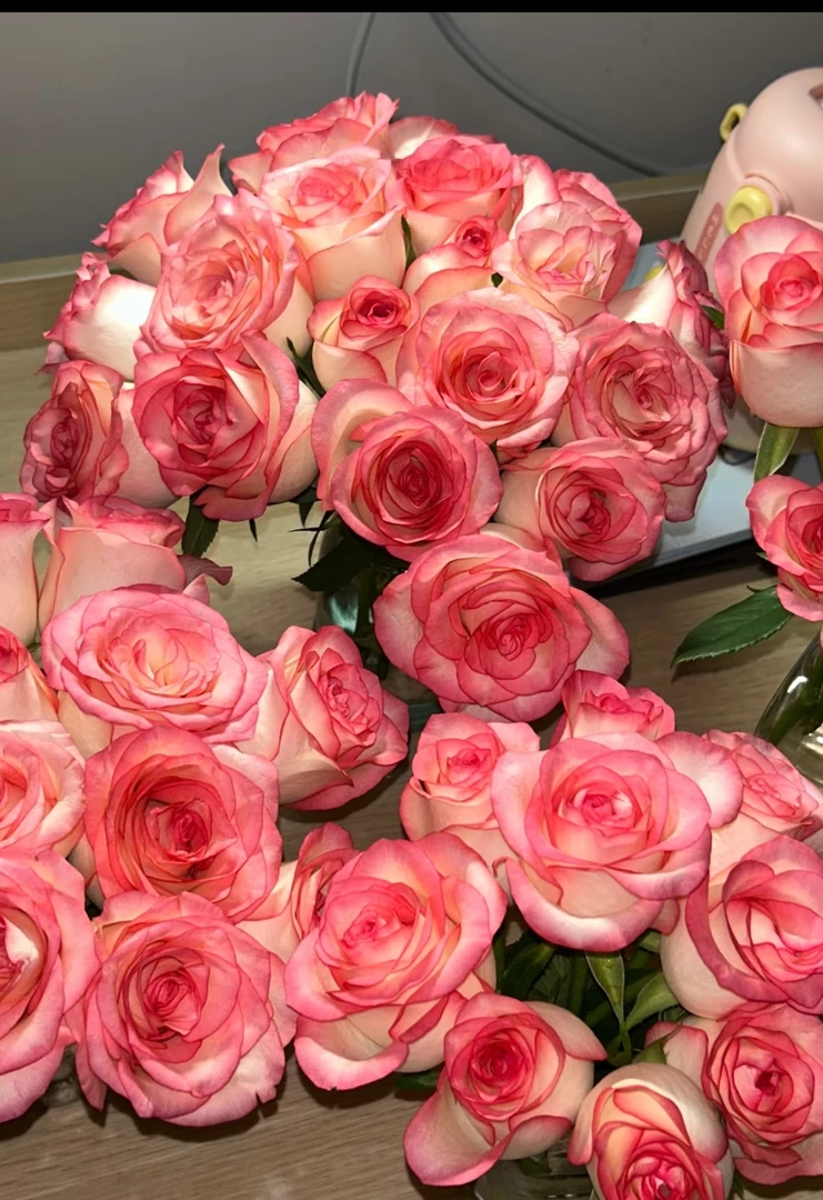 【与你鲜花】艾莎玫瑰+康乃馨