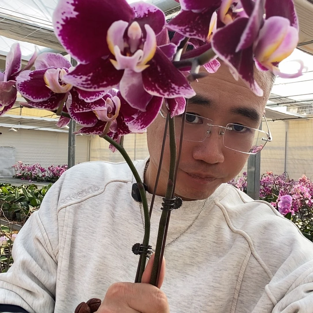 完全开放黑桃A一颗3.0寸杯微瑕