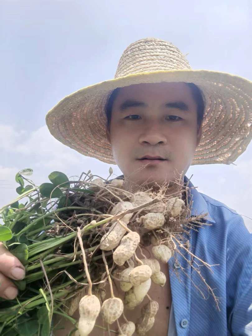 河南周口2025年粉皮花生，带壳新鲜花生生花生