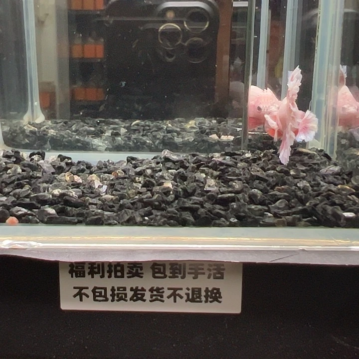 斗鱼竞拍跑单拉黑22日53