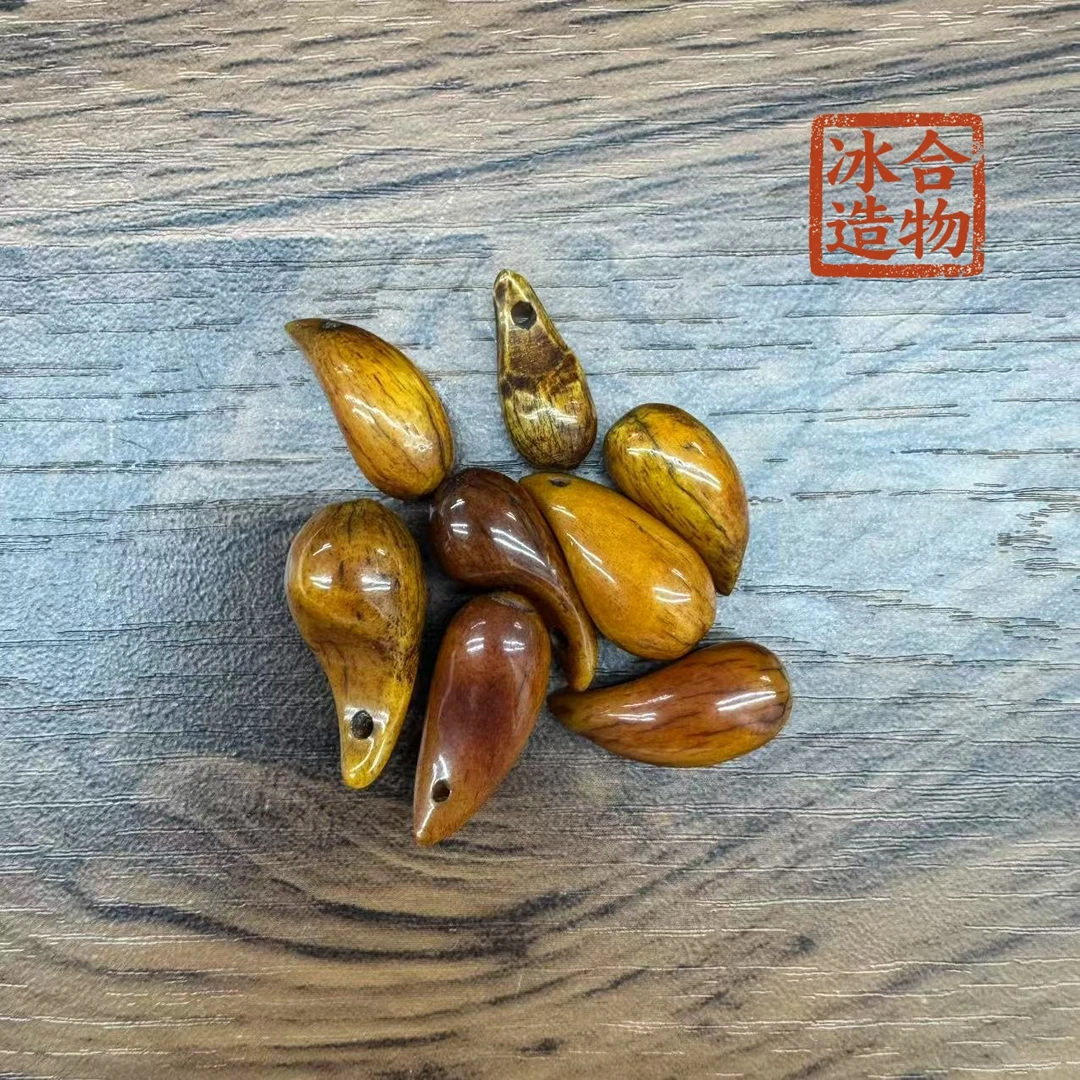 DZ0028  猛犸老驼骨小卡子约20mm多样性多发其一