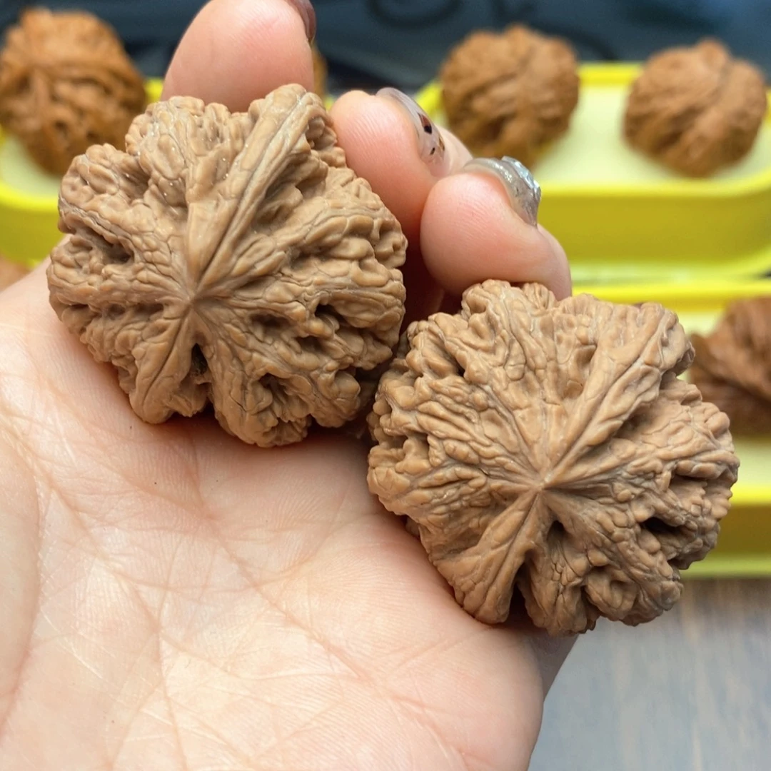 把件文玩核桃39尺粗筋猫头鹰