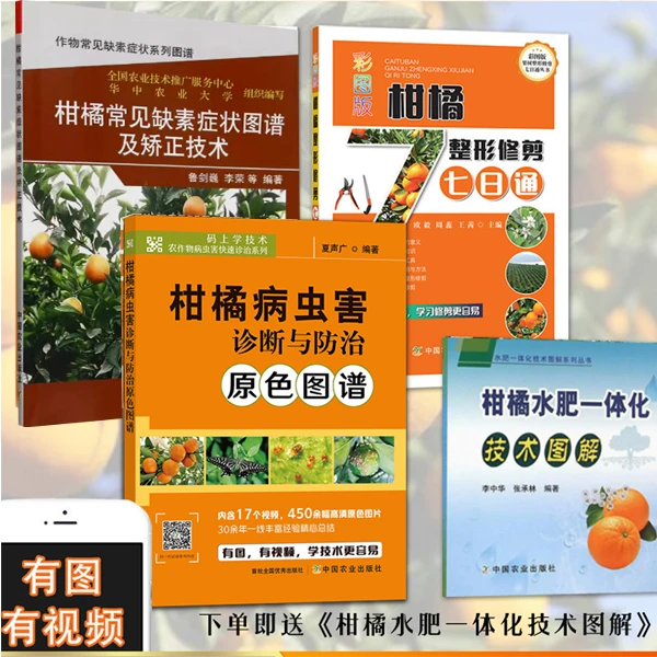 【柑橘营养+修剪+病虫害+水肥】彩图清晰   柑橘种植技术书籍