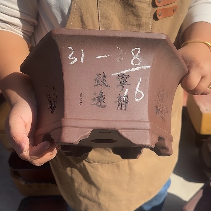 花盆紫砂在你身边