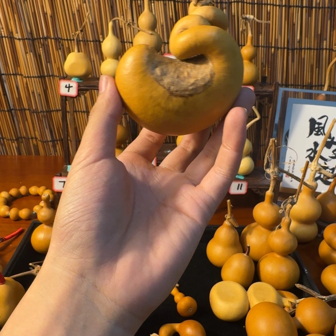 I***r哈哈哈哈哈哈哈哈