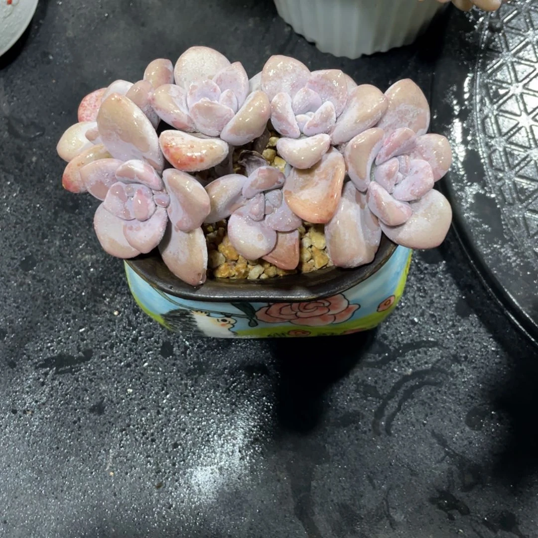 ?*一物一拍中通快递