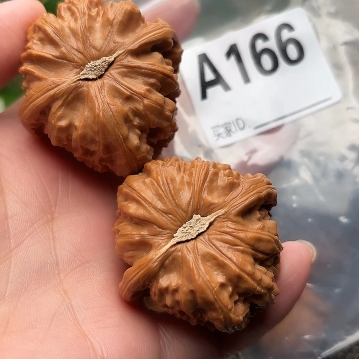 把件桃核核桃白狮子43