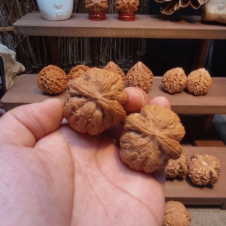 核桃手串/手链40全品大肚粗筋