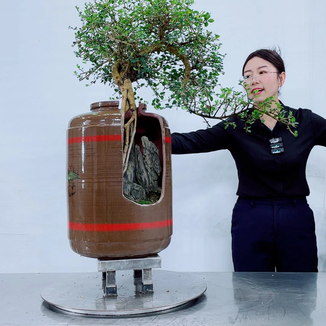 无铅玻璃岭南文化艺术中心的