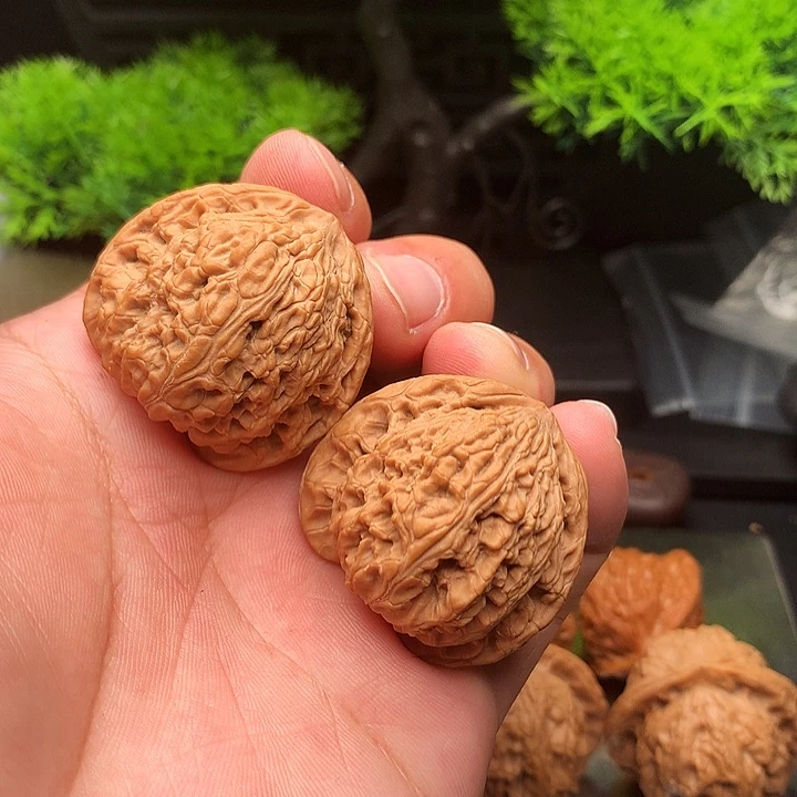 吊坠文玩核桃38.5尺红玛瑙