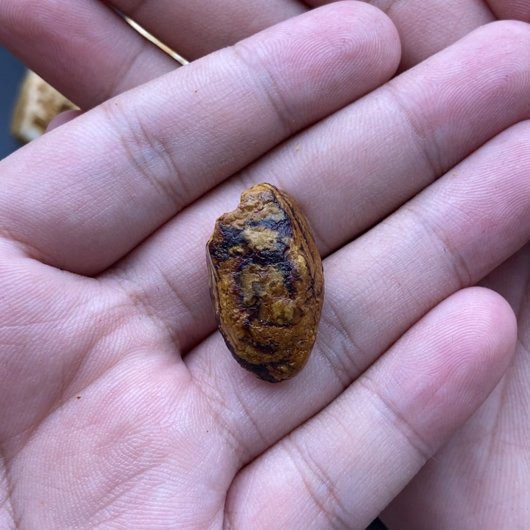 悲***侠定制琥珀未镶嵌定制