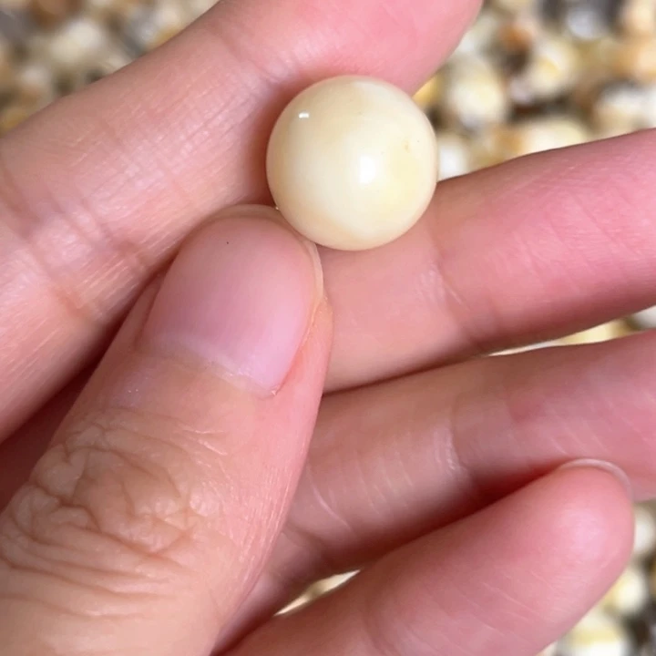 未镶嵌蜜蜡裸石12.8mm一个