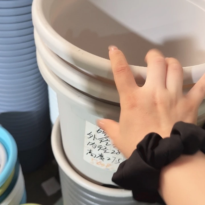四季6号灰白无托3个
