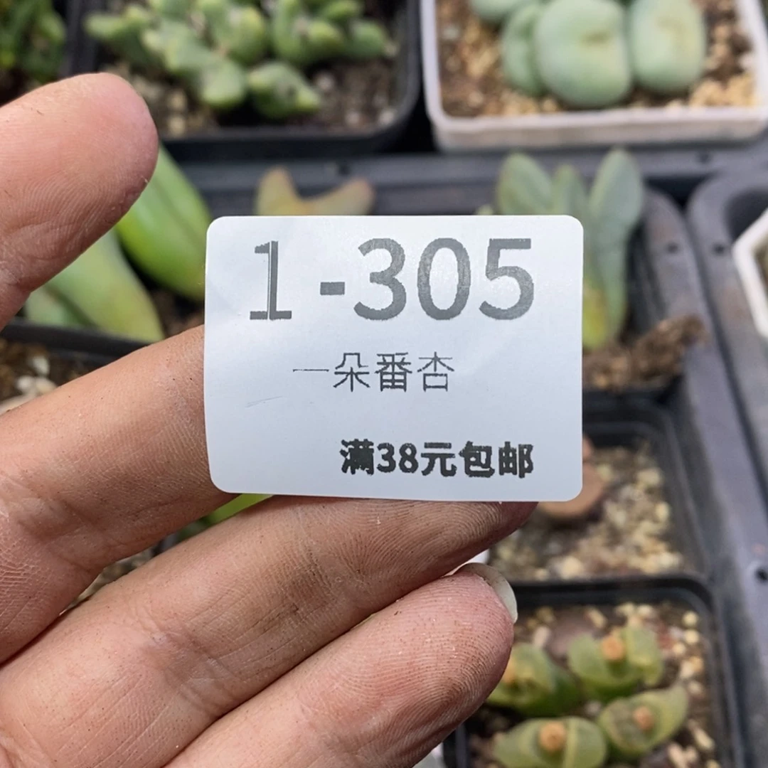 风****d5668666656668556555858