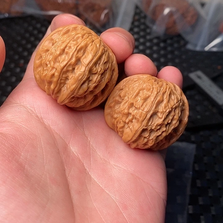 【闪购商品】文玩核桃吊坠直播