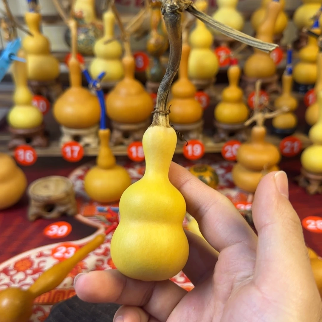 大****葫芦uffyhccujcbucubu