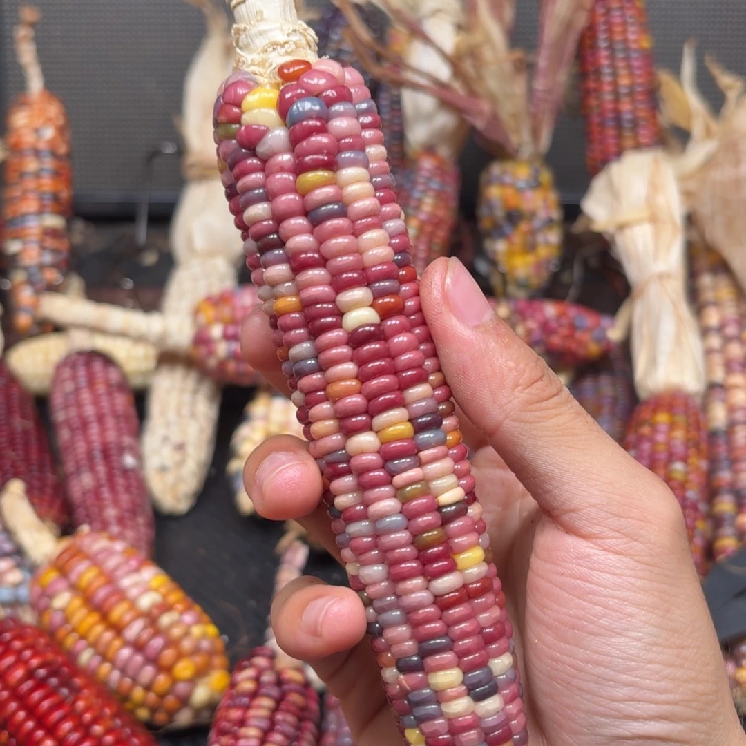 哎***️吊坠柏香籽/百香籽