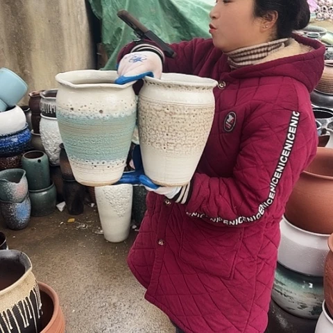 口17高25盆子盆子。