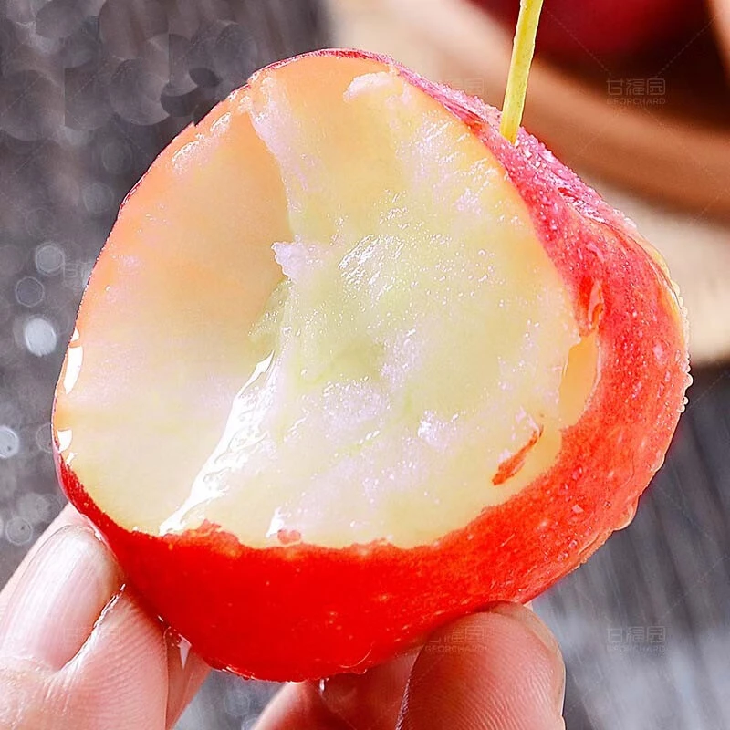 【礼品佳节】京东顺丰产地直发新疆香妃海棠果当季新鲜美味小苹果