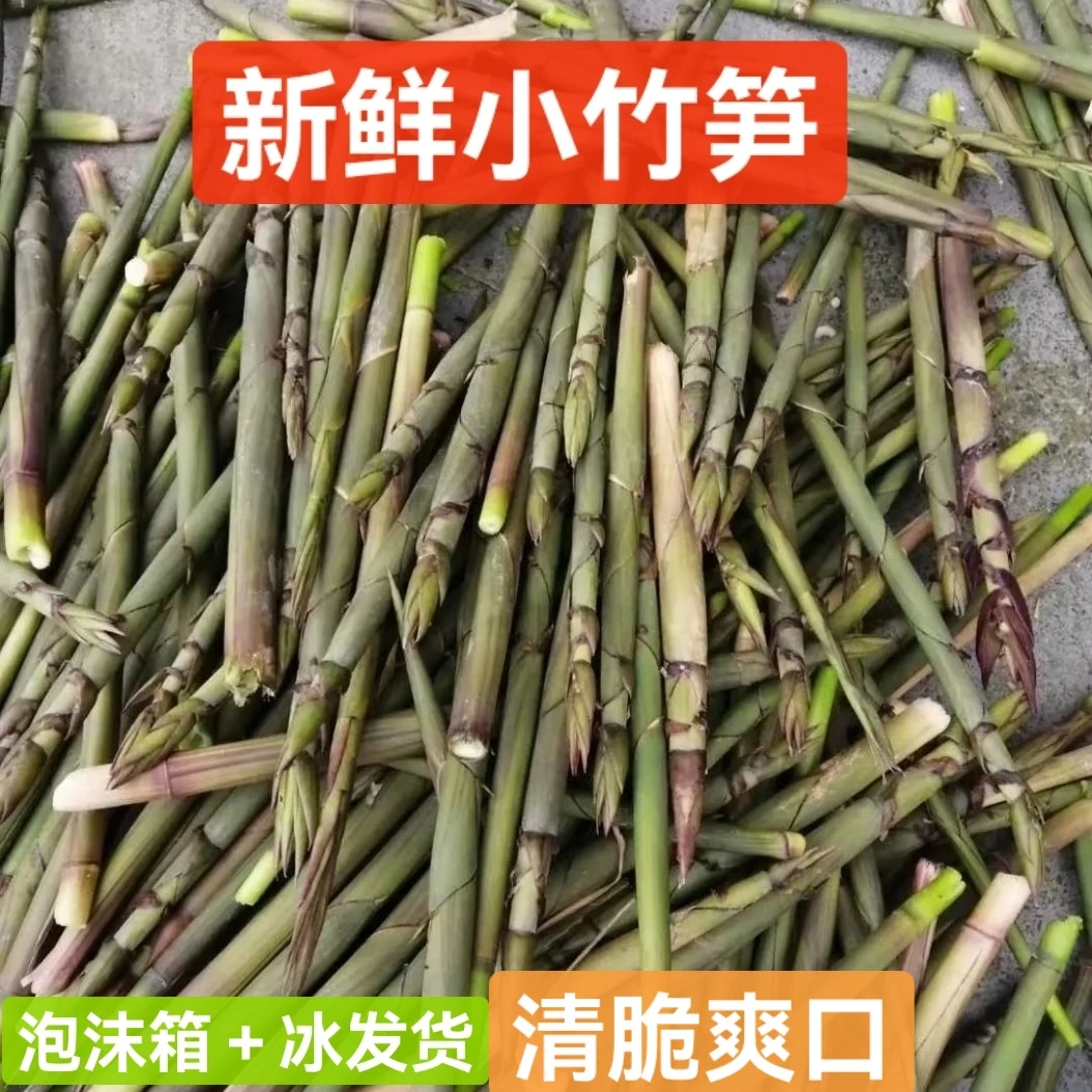 《顺丰包邮》湖南湘西高山野生山竹笋