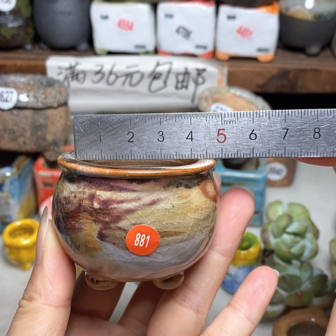 拍5送一个小礼物