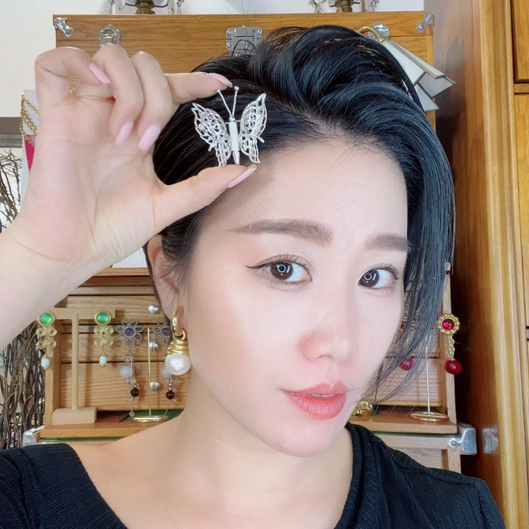 铁合金无中古素银蝴蝶胸针