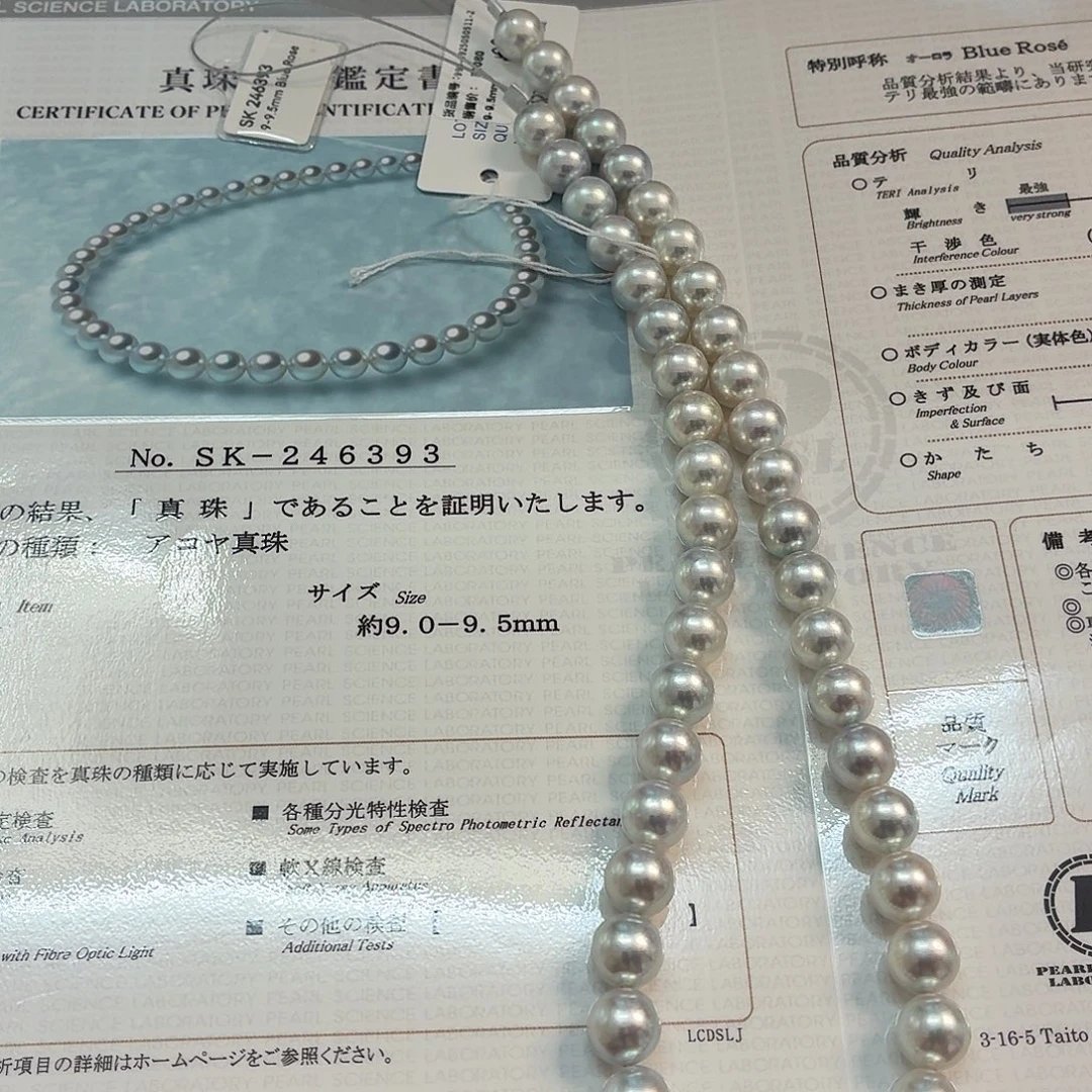 s***y颈饰海水珍珠未镶嵌