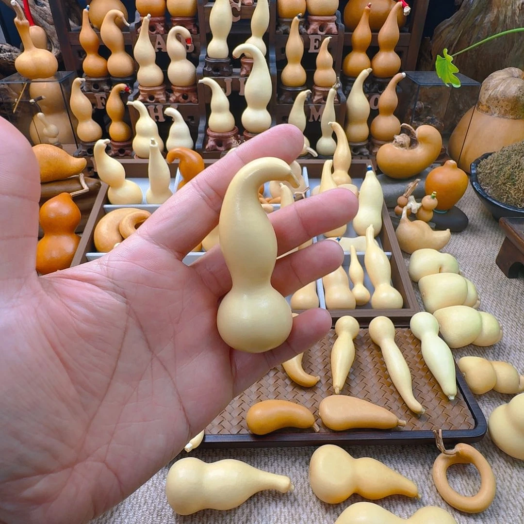 葫芦太*葫芦葫芦