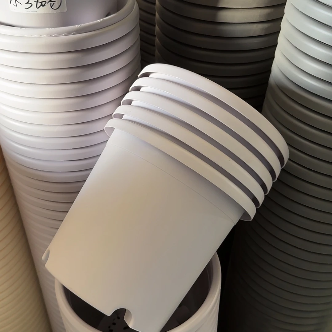 四季4#无拖浅紫5个