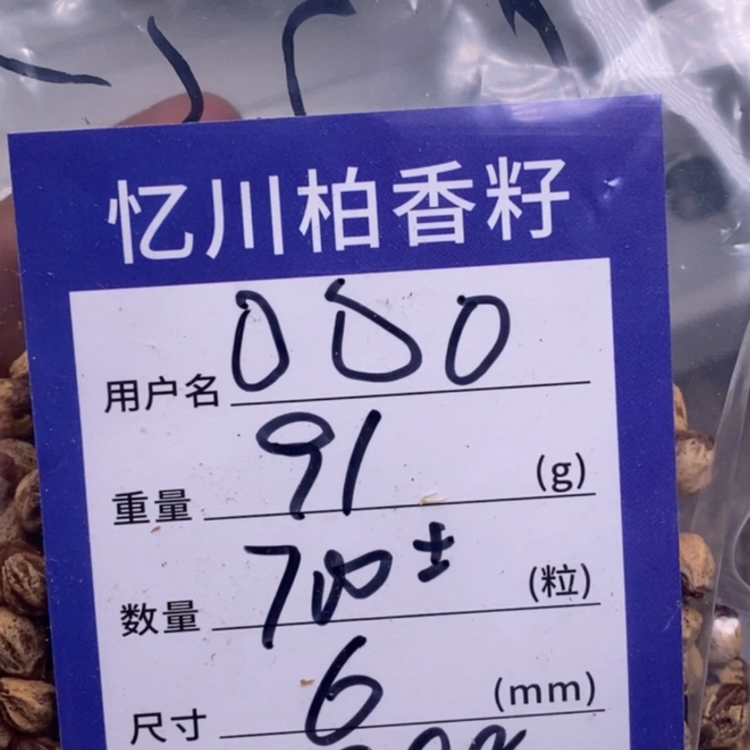 柏香籽/百香籽吊坠?*?