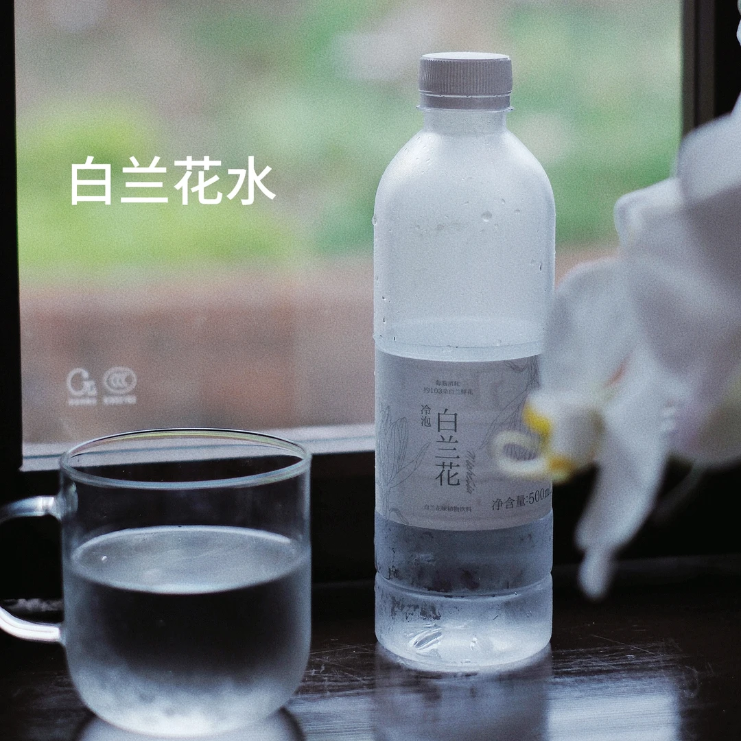 「冷泡白兰花」白兰鲜花冷萃 配料干净 0糖天然花香网红饮品