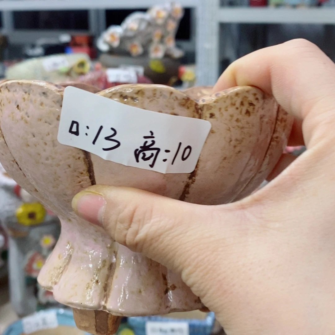 红陶福利福利福利