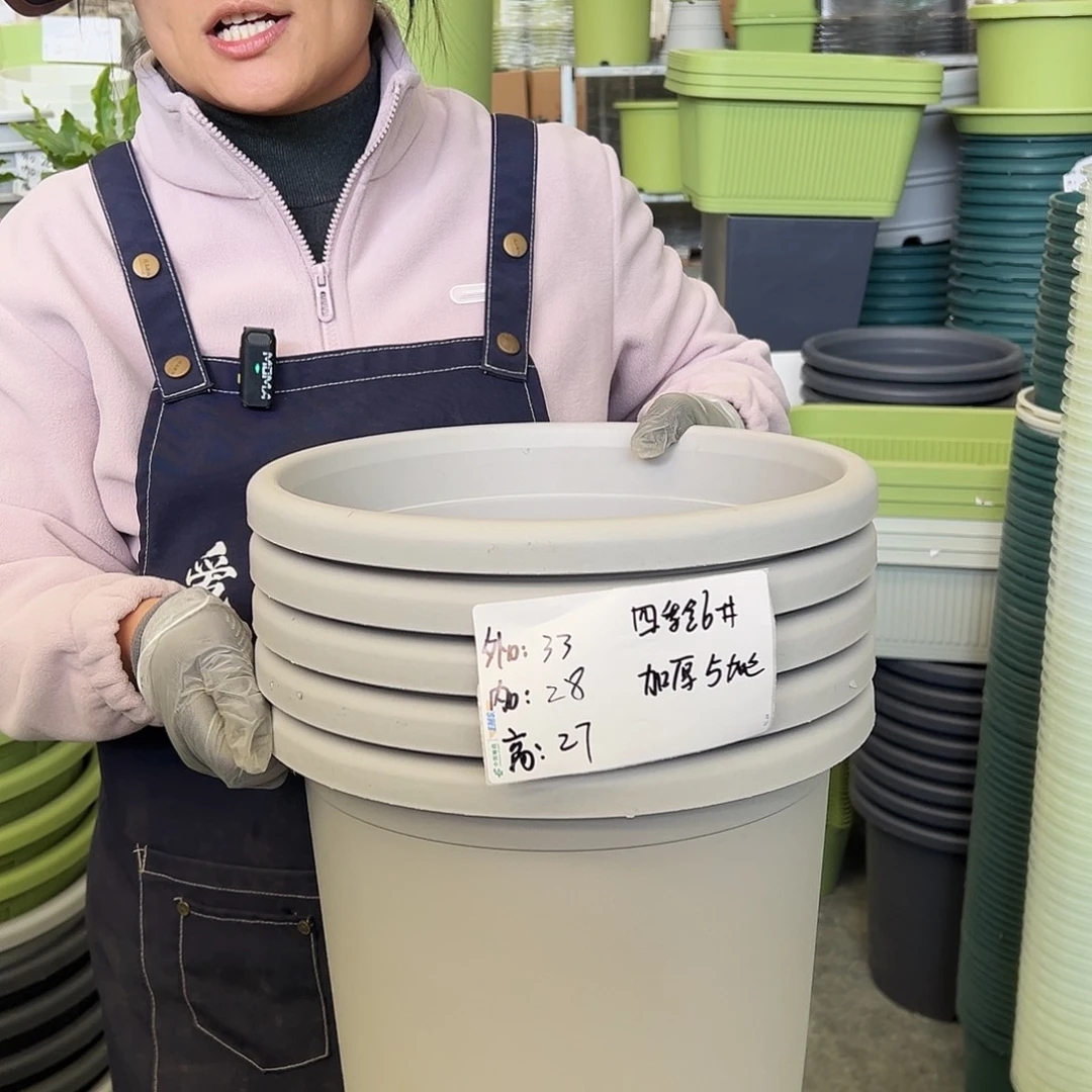 四季盆6#灰白色5个无托