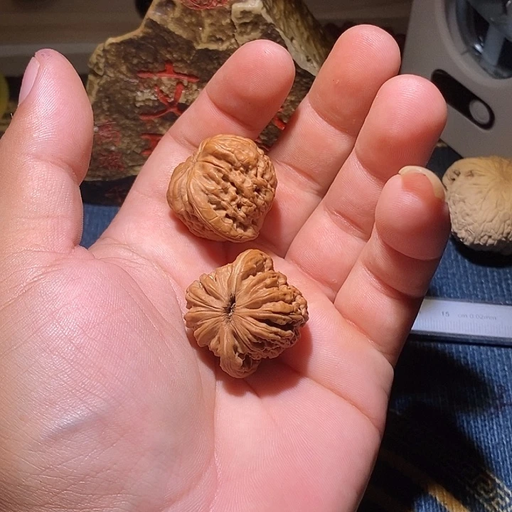 球***R全品没修小楼子一对