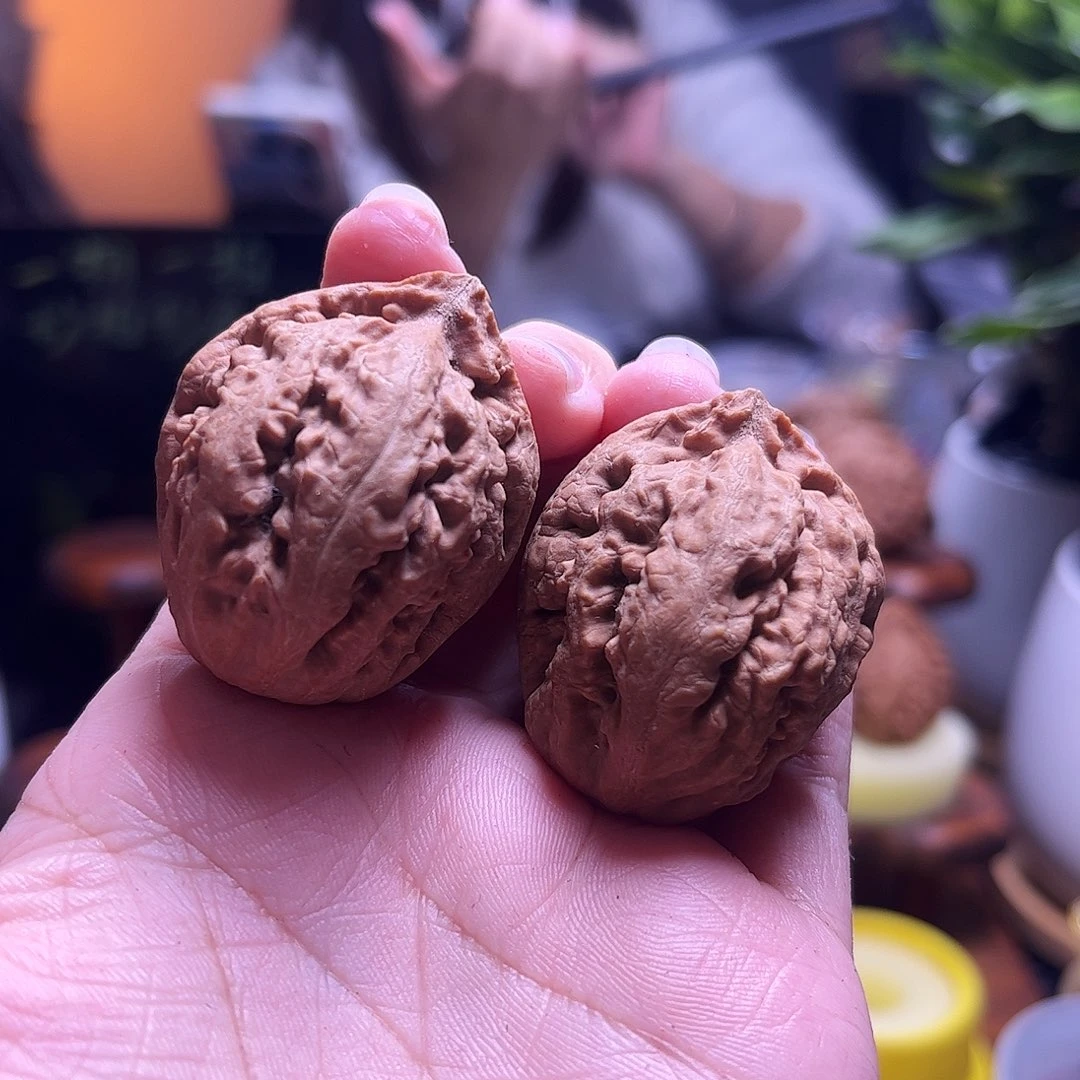 你***嘴文玩核桃把件33尺霸王龙
