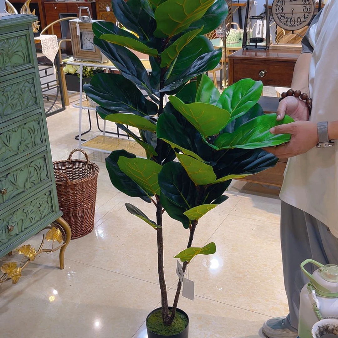 红陶红陶红陶红陶红陶