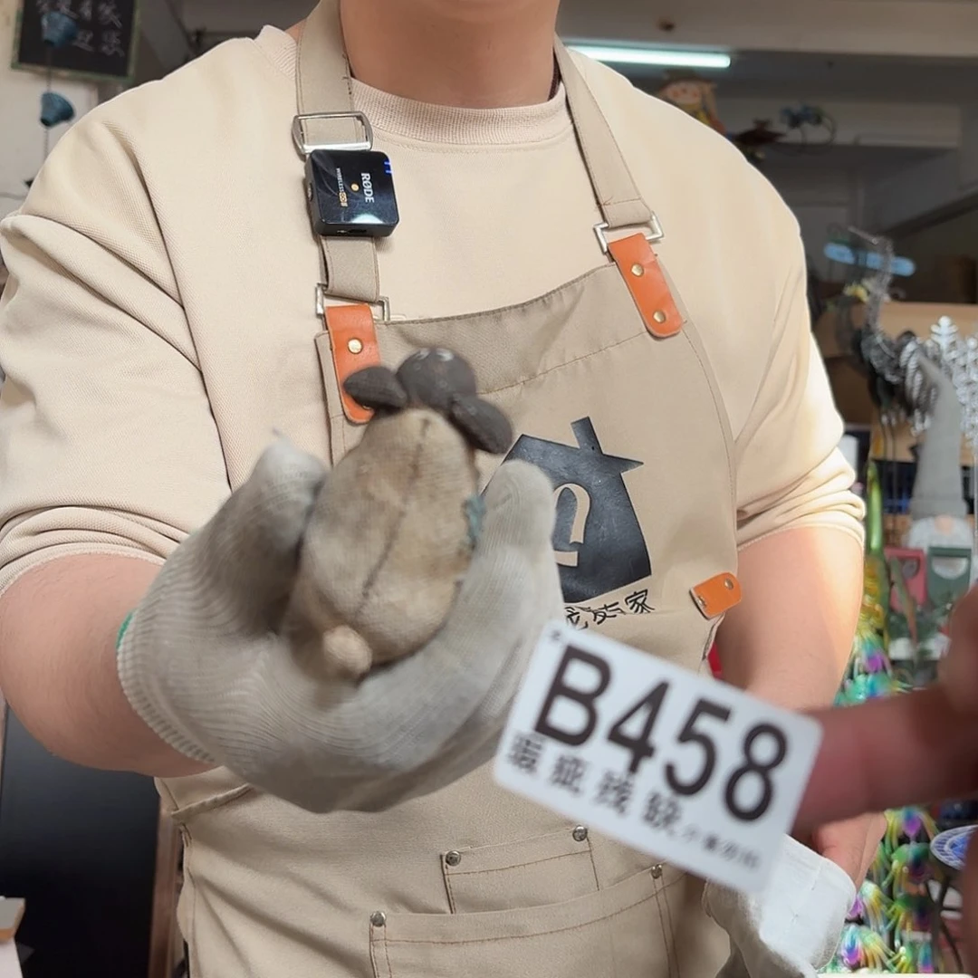 核桃木/黑胡桃（胡桃木）