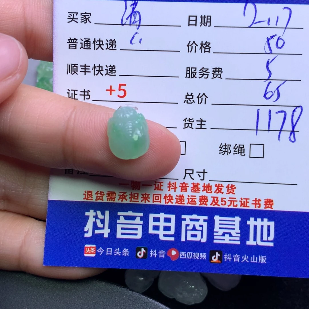 颈饰未镶嵌翡翠清**意