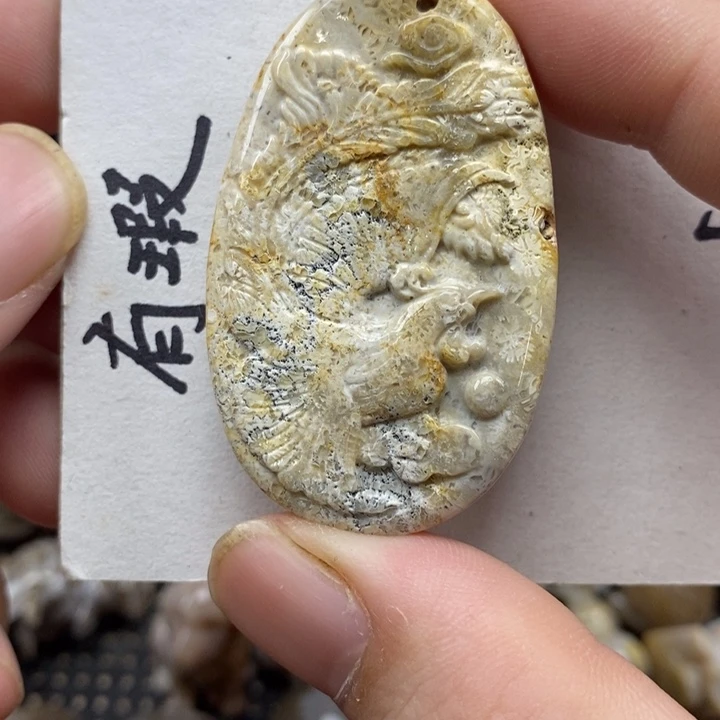 颈饰未镶嵌硅化珊瑚（珊瑚玉）