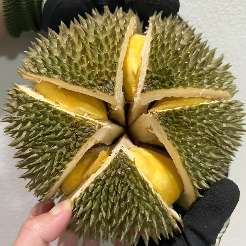 【总部】长柄猫山王鲜榴莲2-8斤核大榴莲同城配猫山王泰国