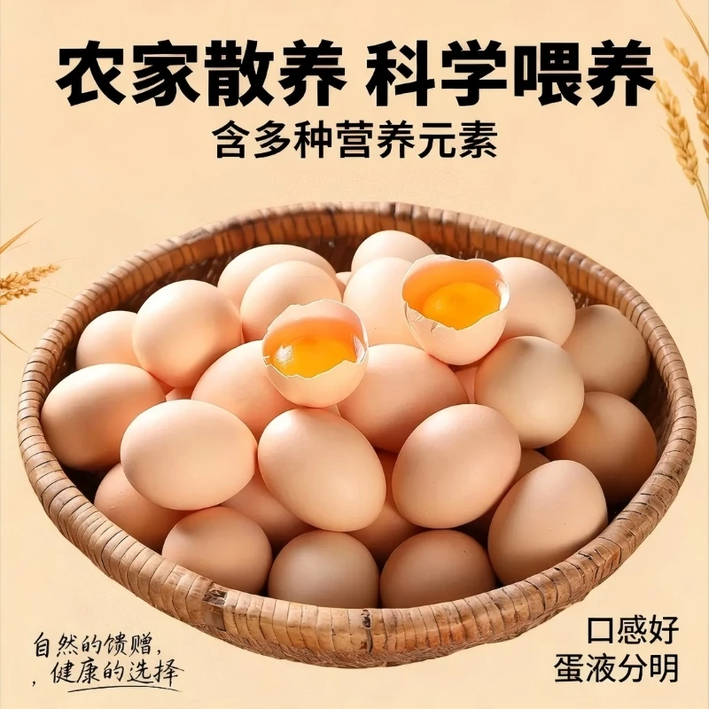 【10枚】农家散养土鸡蛋新鲜鸡蛋粉壳蛋包邮 破损包赔