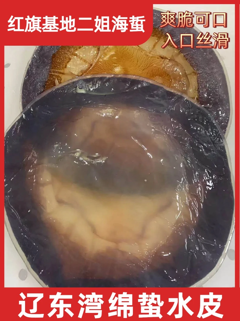 辽东湾海蜇绵蛰水皮八斤半