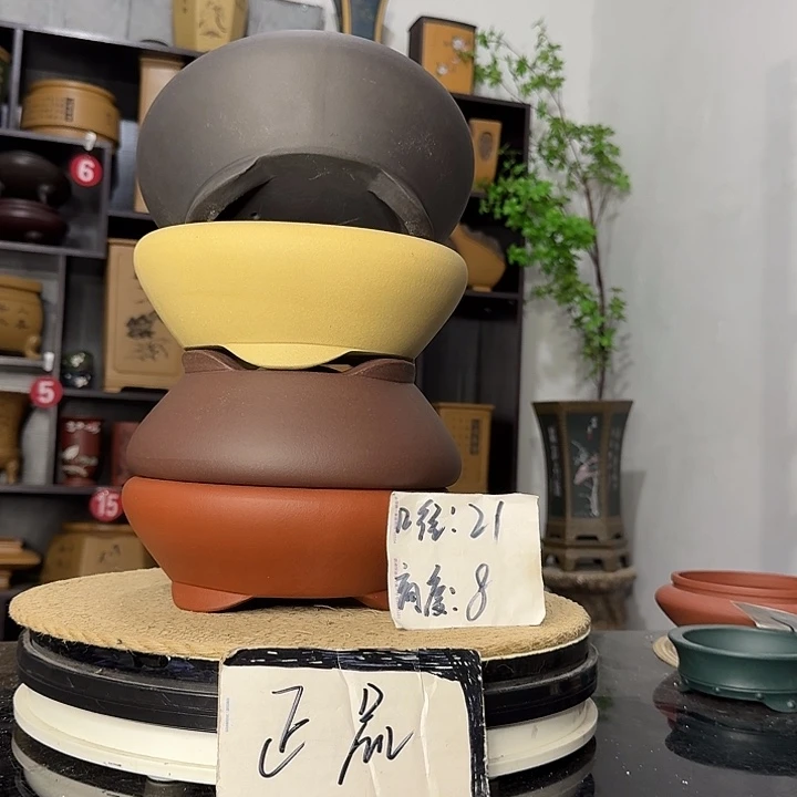 紫砂花盆盆友记紫砂花盆