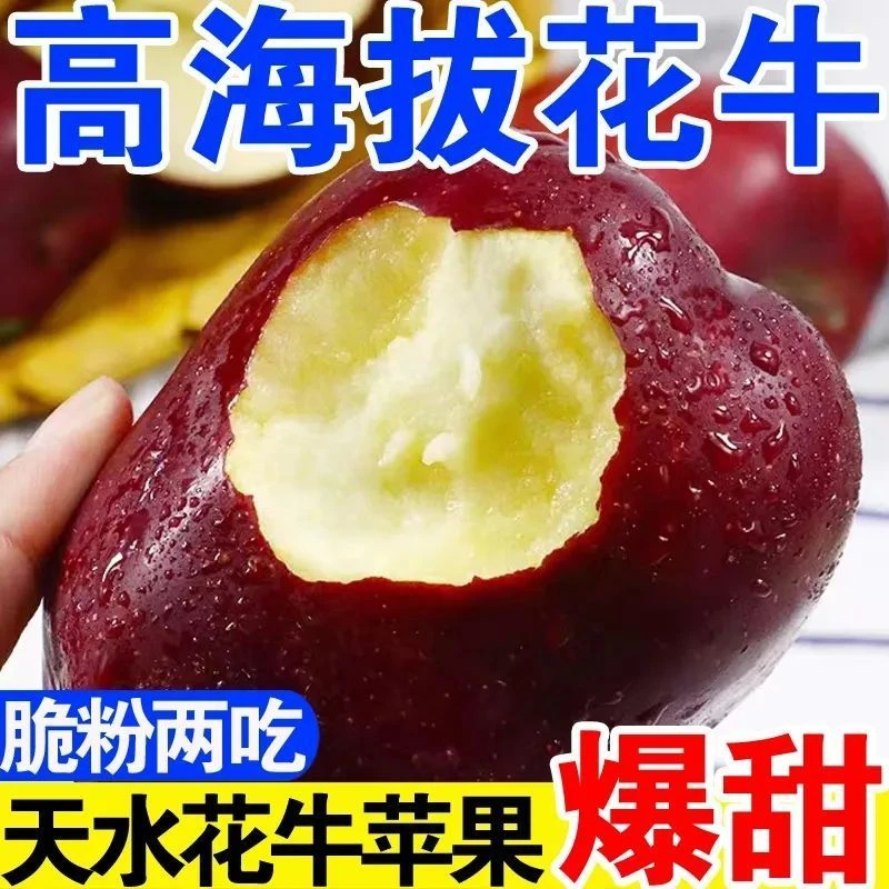甘肃天水花牛苹果新鲜当季水果脆粉两吃可作老人宝宝辅食