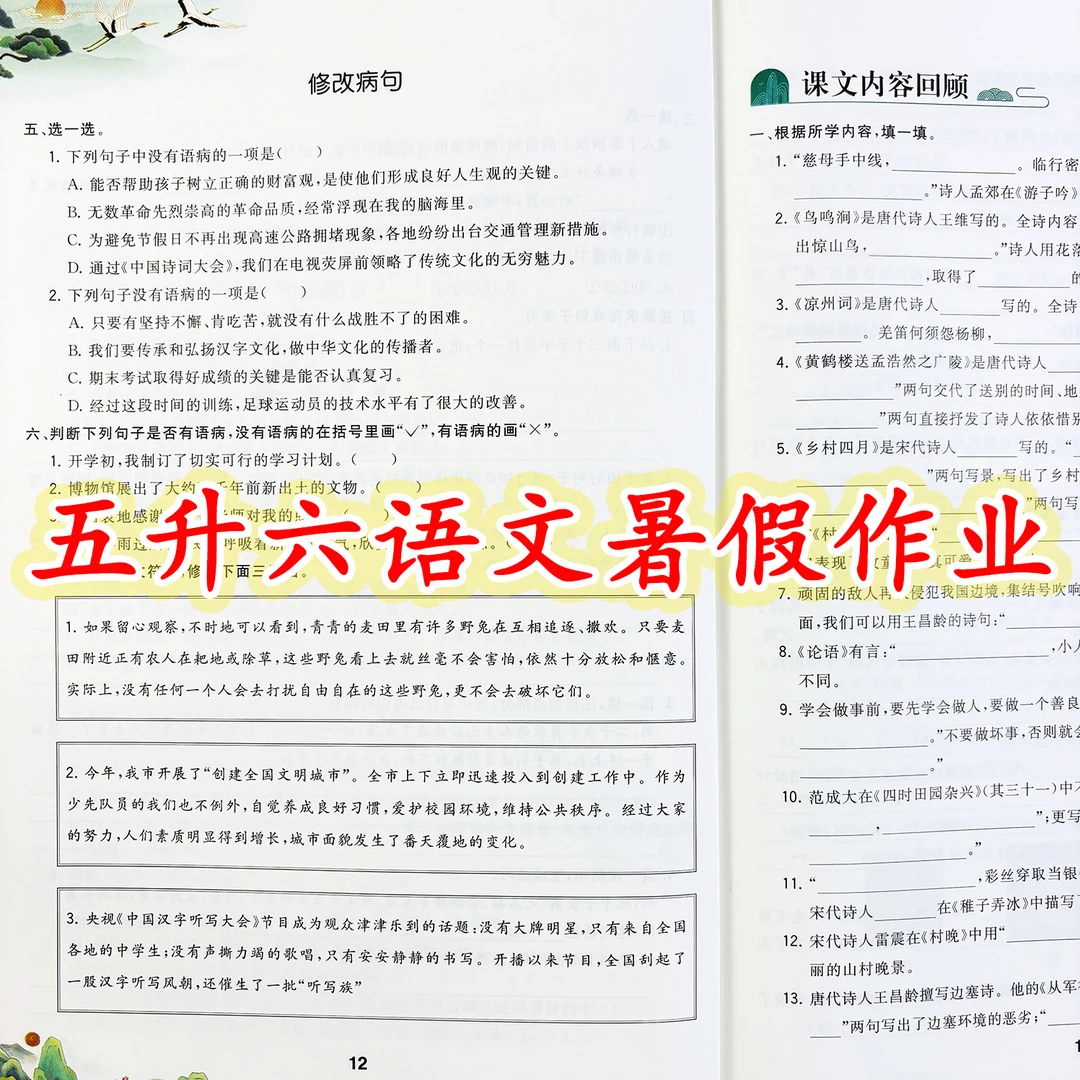 暑假作业五升六年级语文暑假衔接练习题人教版暑假预复习一本通