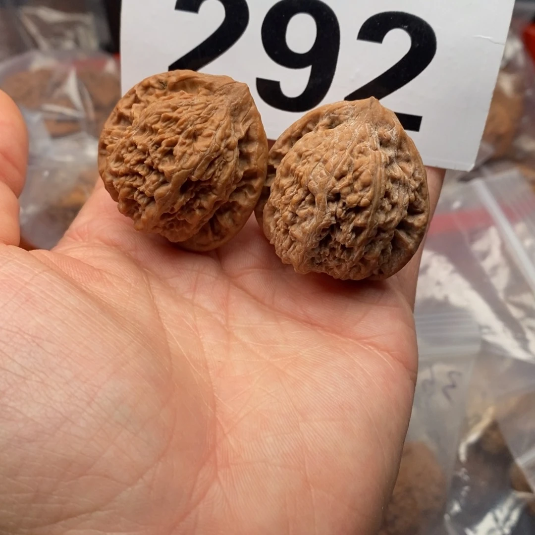 文玩核桃吊坠37蚂蚁