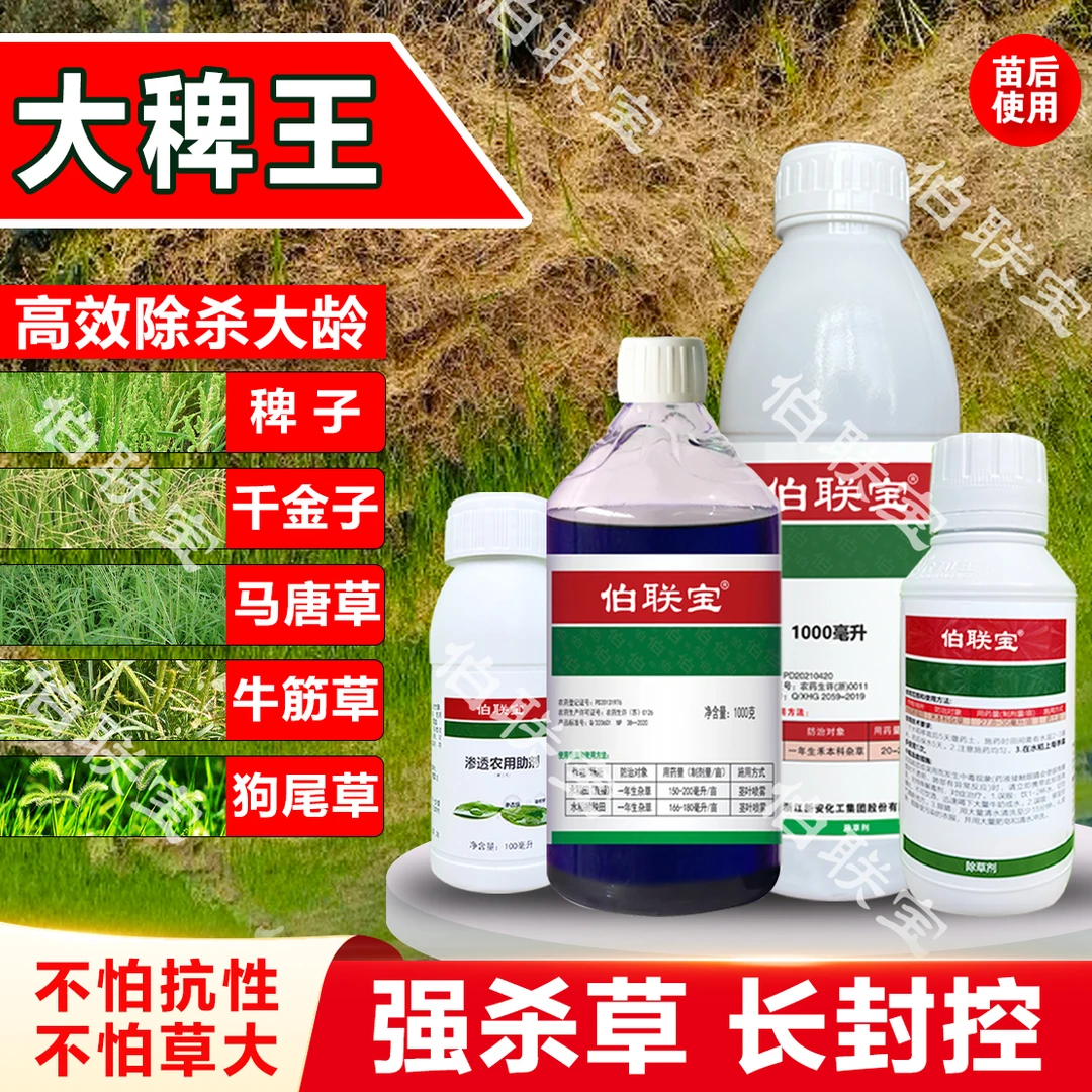 大稗王(除杀大龄稗子.千金草.马唐)直播田.旱田.强效触杀长效封控