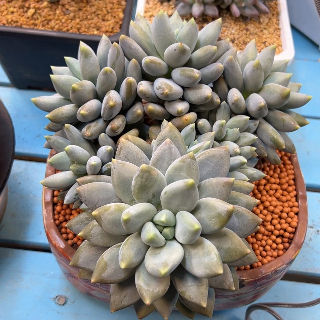 *****2222222222222222222